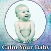 Soothing Baby Music Zone《Calm Your Baby》[MP3/LRC]