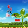 小阿来 - 宝贝我还爱你