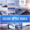 Calming Water Consort - New Age: Blissful and Peaceful Ocean Sounds