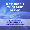 Konzentration Musikexperten - Therapie Musik zu Studieren