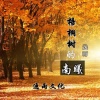 逸雨 - 梧桐树的南曦