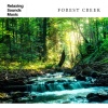 Spa Radiance、SPA《Forest Creek》[MP3/LRC]