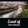 Japanese Sweet Dreams Zone - Land of Cherry Blossom