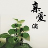 歌者南曦、歌者达达 - 亲爱滴