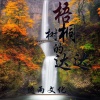 逸雨 - 梧桐树的达达