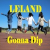 Leland - Gonna Dip