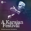 Herbert von Karajan《Prince Igor, Act II: Dance of the Polovtsian Maidens》[MP3/LRC]