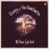 Sunny & The Sunliners - Intro 1
