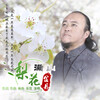金丹 - 梨花满山 (伴奏)