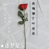 冷雨儿 - 玫瑰谢了叶还在