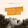 Jack Avenue、Wendy Demey - Where You Want Me (Radio Mix)