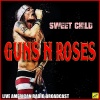 Guns N' Roses《Down On The Farm》[MP3/LRC]