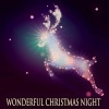 Dale Evans、Roy Rogers《Wonderful Christmas Night (Remastered)》[MP3/LRC]