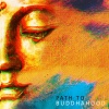 Buddhist Meditation Music Set、Interstellar Meditation Music Zone、Spiritual Enlightenment Unit - Interstellar Meditation