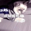 曹正祥 - 送给周艳秋