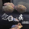 忘川 - 念你成疾