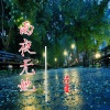 冷星 - 雨夜无她