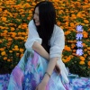 曹芙嘉 - 花开花落