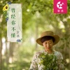 贺燕 - 曾经你不懂