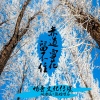 林诗涵、隐姓埋名 - 赤道留不住雪花