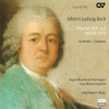 barbara schlick - Mache dich auf, werde Licht: Part I: Aria: Mache dich auf, werde licht (Bass)
