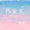 芦雨晨 - 风在哭
