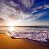 Forest Soundscapes、Organic Nature Sounds、Easy Sleep Music - Zen Waters