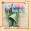 冷雨儿 - 我爱你你知道吗