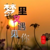 末情 - 梦里又遇见你