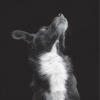 Be Svendsen - Black Tower Hotel (Be Svendsen Mix)