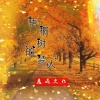 逸雨 - 梧桐树的梦人