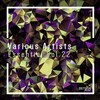 Matteo Cabassi、Luky - Kill the Time