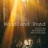 Outside Broadcast Recordings - Day In The Park