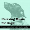 Relax for Life、Music for Dogs Collective - Relaxing Music for Dogs