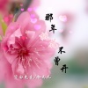 空白先生、冷雨儿 - 那年桃花不曾开
