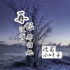 沈若、小叶子 - 再也没有那个她