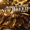 Aero Chord - Warrior Of The Night