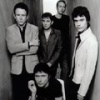 Suede - Savoir Faire (live)