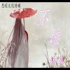 林幕 - 不该 (伴奏)