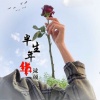 沫颜 - 半生风华