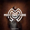 Midi Culture - Senorita (Radio Edit)