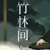 伶然而行 - 竹林间