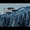 花千诚 - 让酒