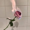prxz - cigarettes & sex