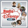 Miley Cyrus - Nobody's Perfect