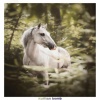 Ruffian Bomb - Lil Nas X-Old Town Road (Ruffian Bomb remix)