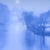 葛芮羽 - 九万字