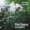 Natural Sounds - Bird Spotting