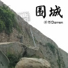 洋仔Darren - 围城