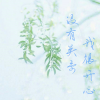 CN飙 - 没有关系 我很开心